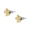 Thumbnail Image 2 of Fossil Val Women's Yellow Gold Tone Stud Earrings