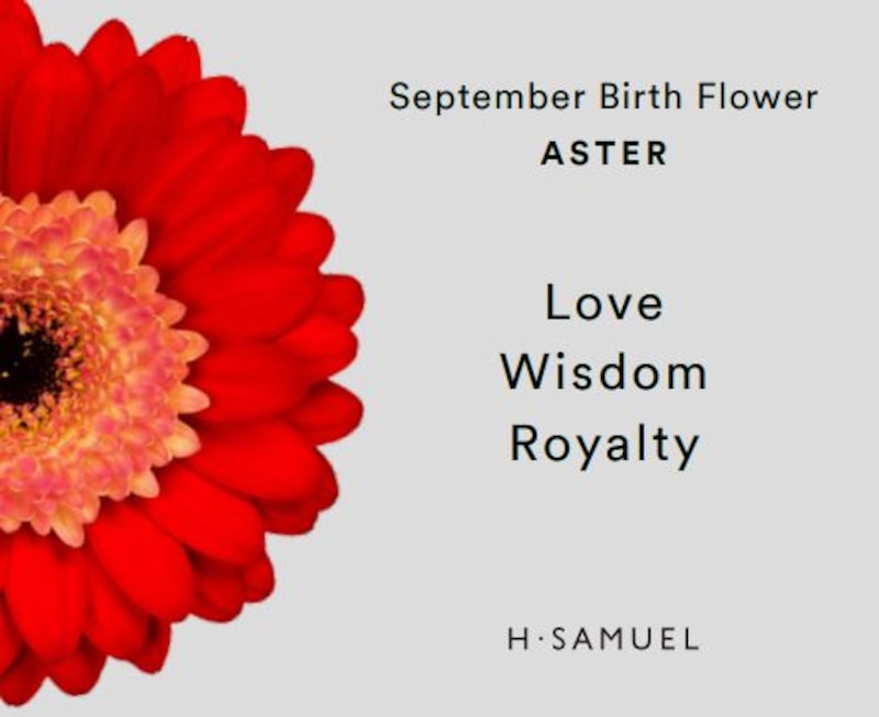 Silver Aster September Birth Flower Necklace