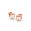 Thumbnail Image 2 of Radley 18ct Rose Gold Plated Silver Heart Earrings