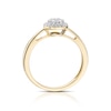 Thumbnail Image 3 of 9ct Yellow Gold 0.25ct Total Diamond Round Cluster Ring