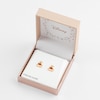 Thumbnail Image 1 of Disney Gold Plated Silver Winnie The Pooh Stud Earrings