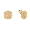 Thumbnail Image 1 of Radley Ladies' Signature Penny 10ct Gold Plated Hammered Penny Stud Earrings