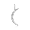 Thumbnail Image 0 of Ania Haie Sterling Silver Cubic Zirconia Moon Charm
