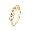 Thumbnail Image 1 of 9ct Yellow Gold Cleo Rose De France Amethyst Multi Shape Ring