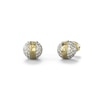 Thumbnail Image 1 of Guess Gold Tone Crystal Bead Stud Earrings